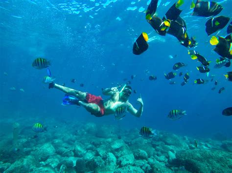 Dive into Paradise: Snorkeling at Sands Beach